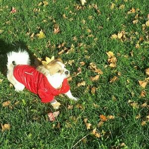 Meet your Posher, Nasha